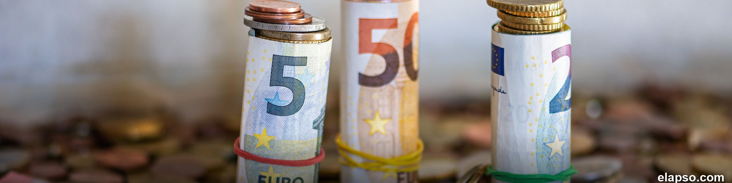 de invoering van de euro