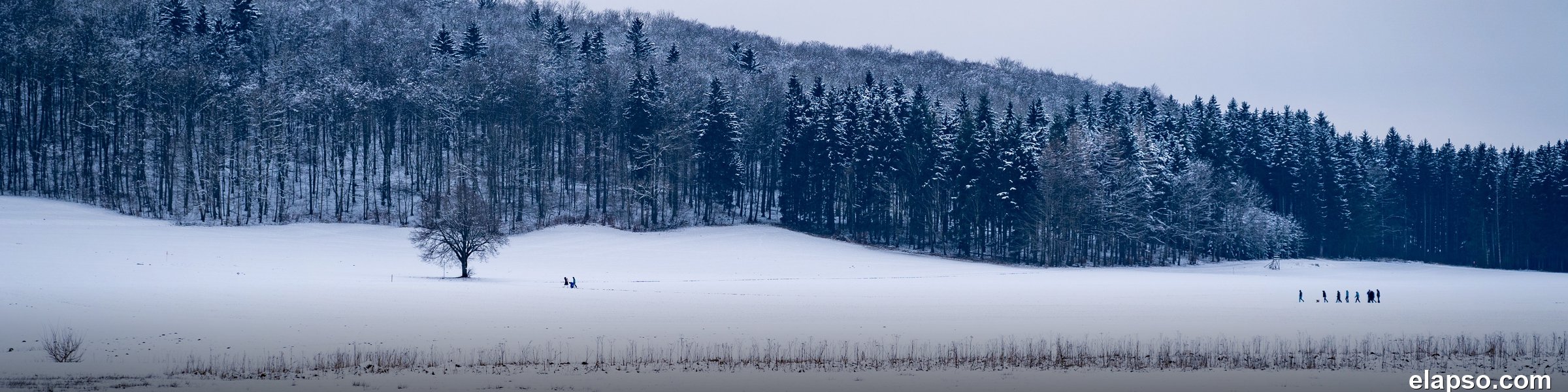 l'hiver